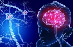 Trains the Nervous System to Handle Stress